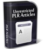 Internet Marketing PLR Articles